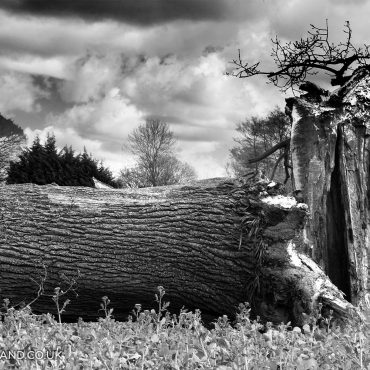 Look what Storm Katie did…