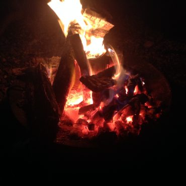 Up from the ashes