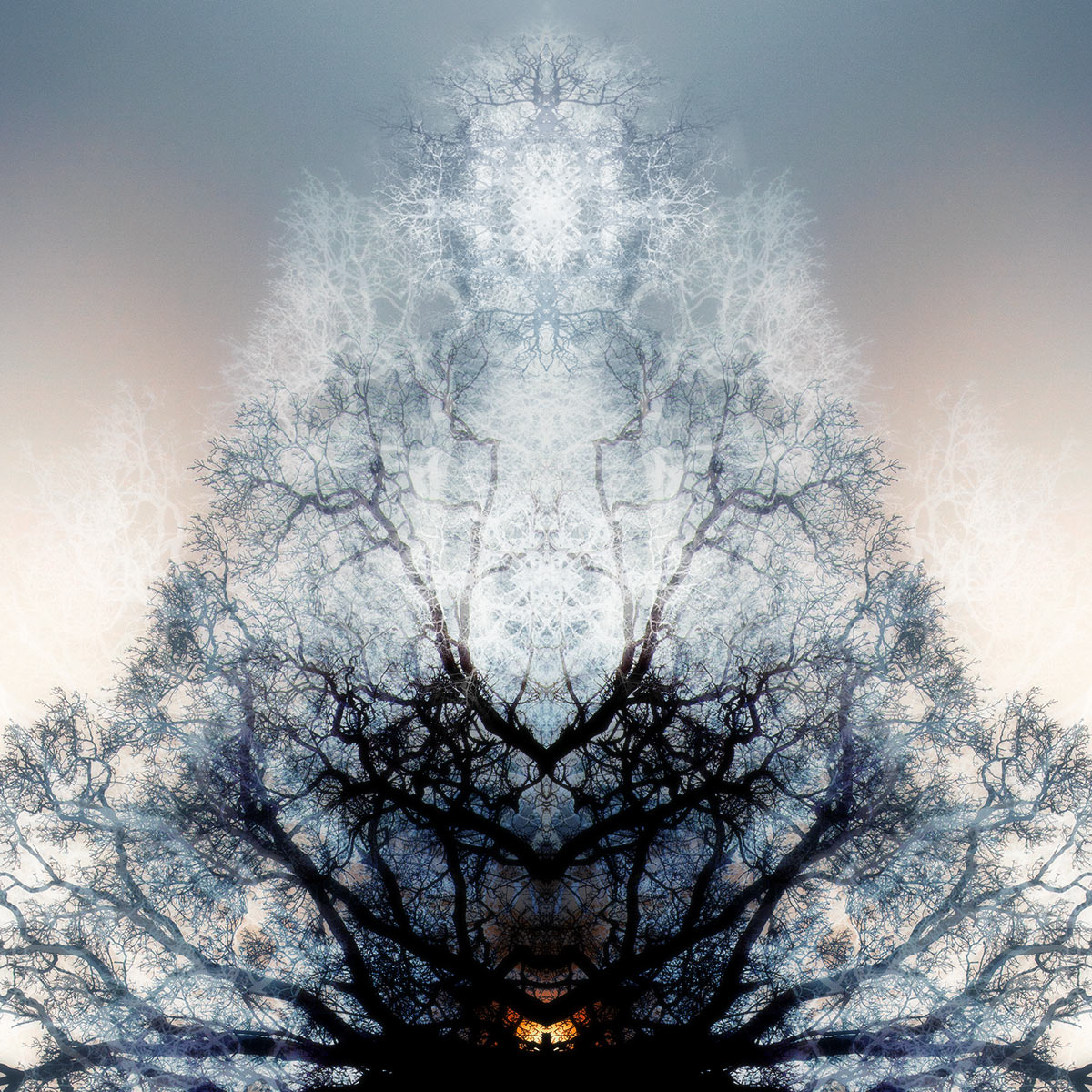 Symmetree - Green Man Symmetree - Green Man