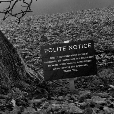 Oak Tree with Polite Notice