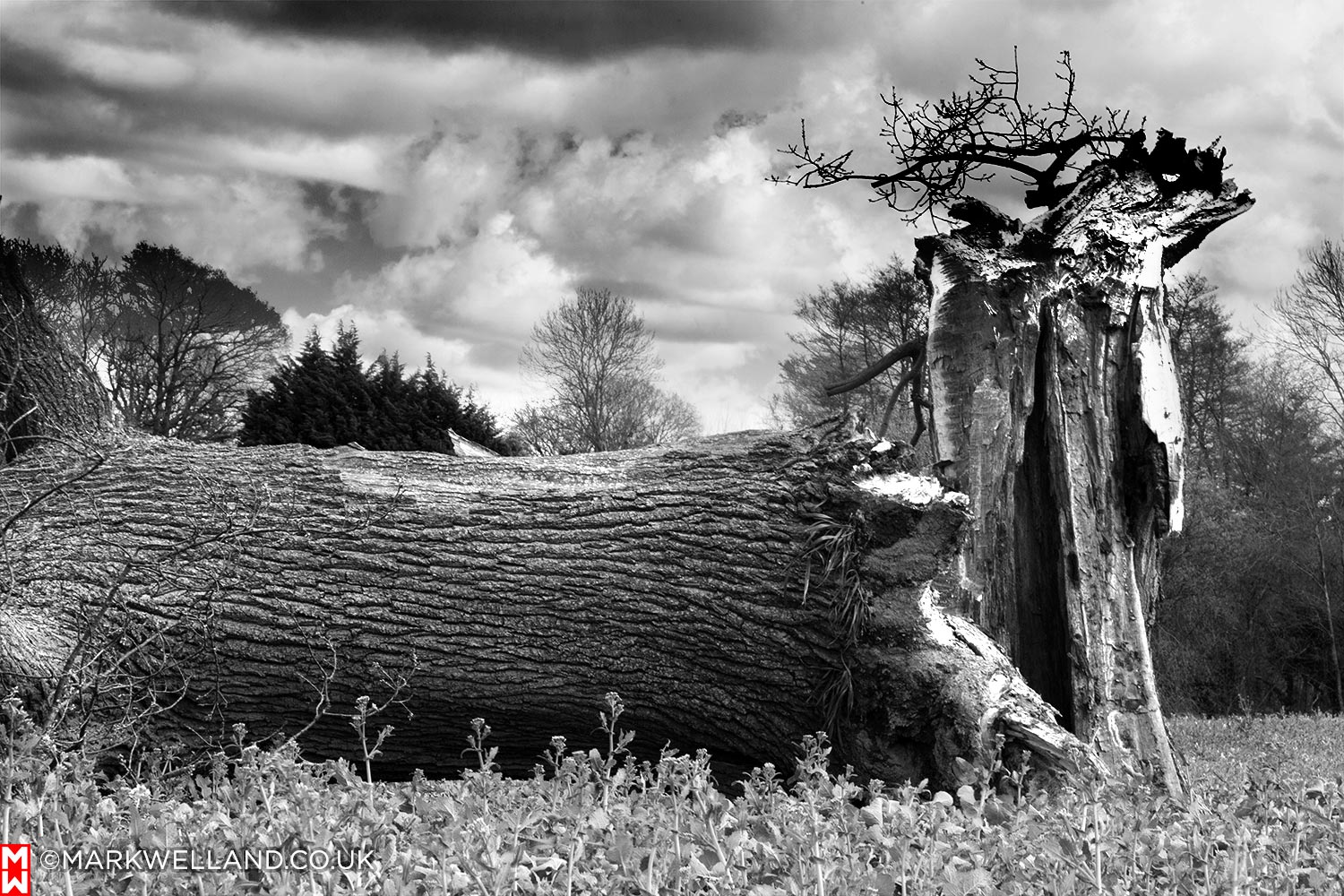 Look what Storm Katie did…