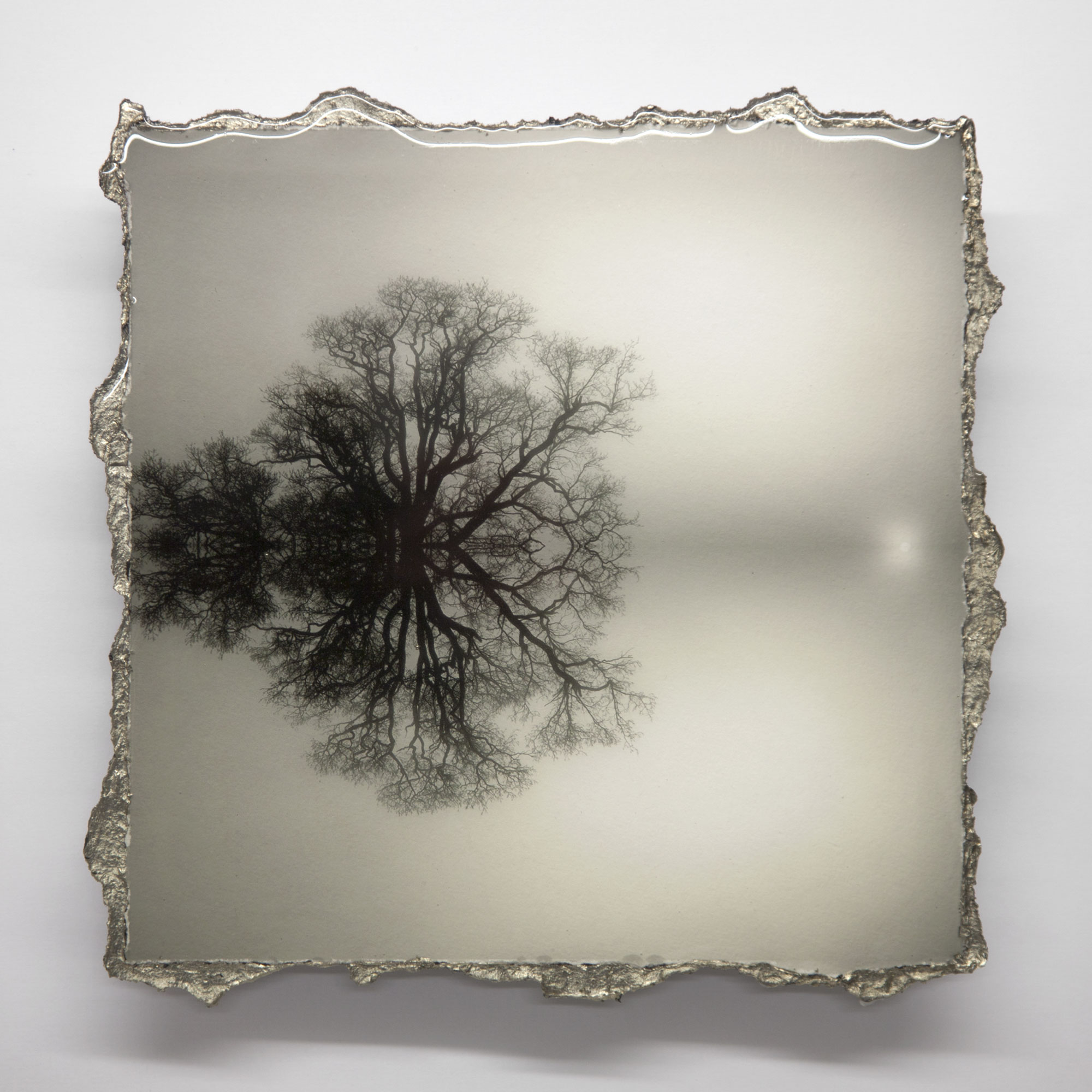 SYMMETREE 10 – SOLD – MORE AVAILABLE