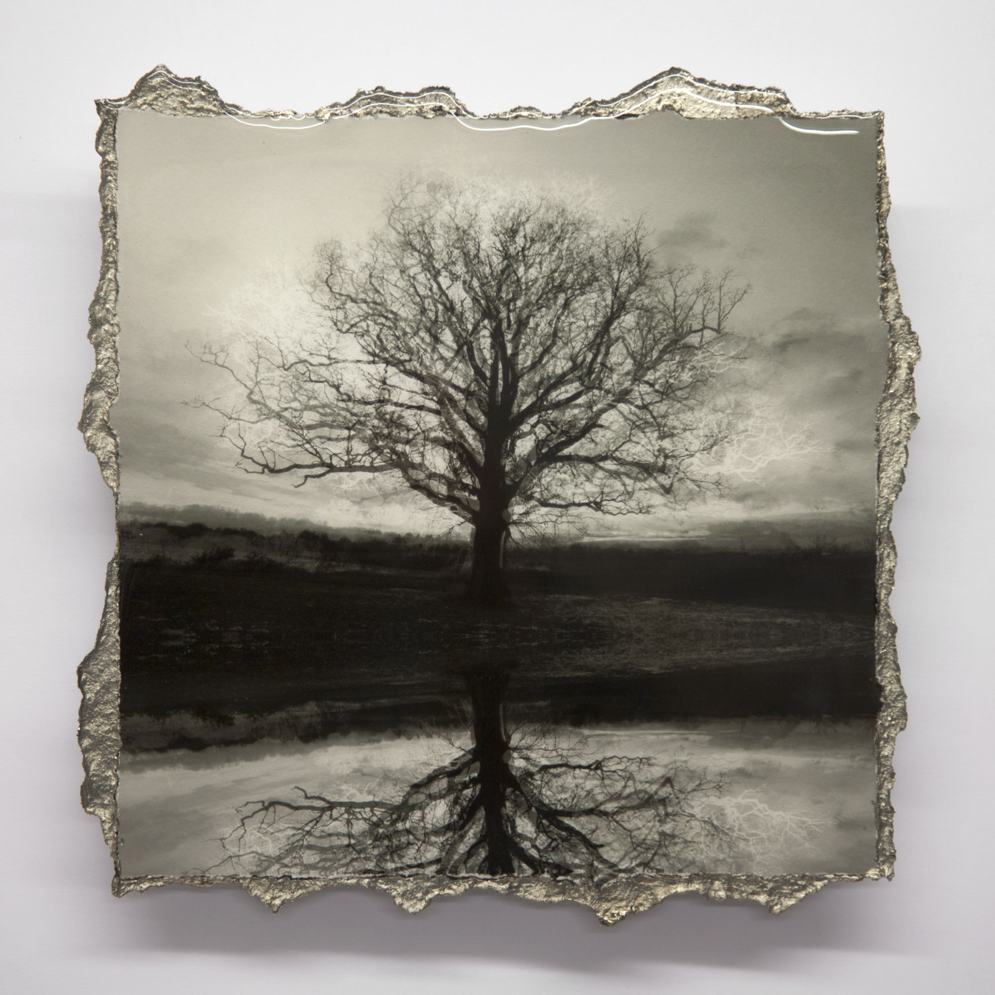 SYMMETREE REFLECTED – SOLD – MORE AVAILABLE