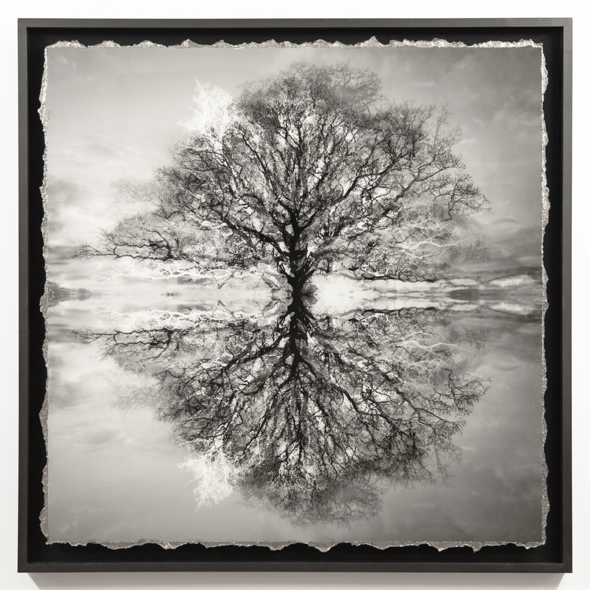 SAFE ARBOR IX – SOLD – 78x78cm