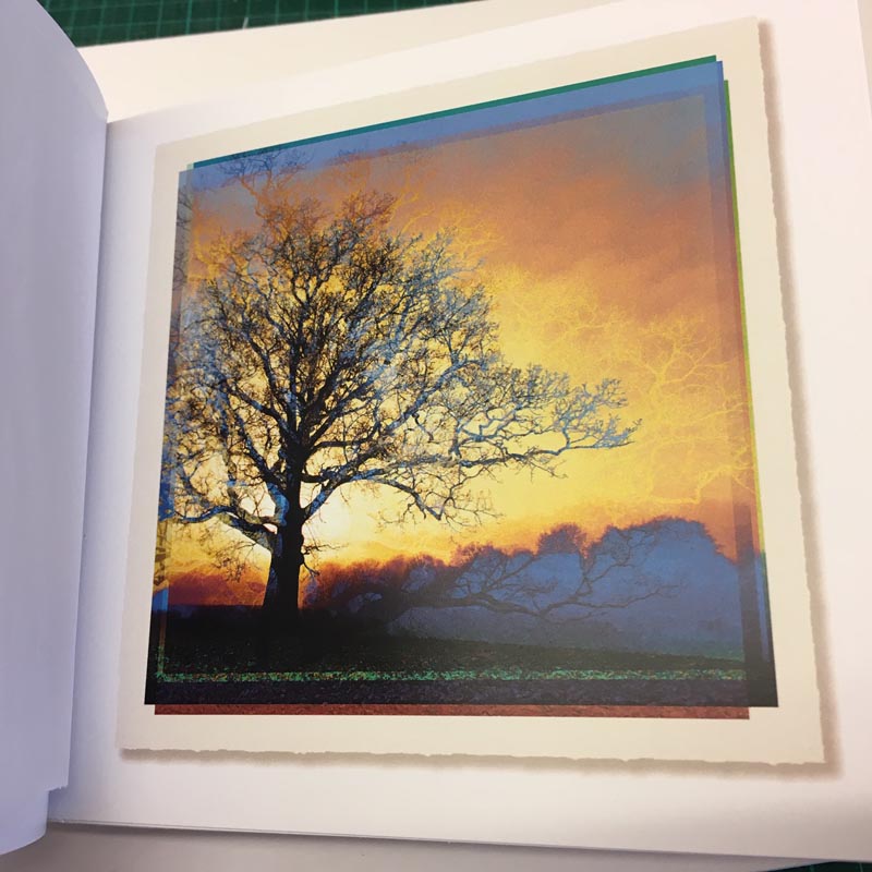PATINA LANDSCAPES - Limited Edition Hand Bound Book - Image 2