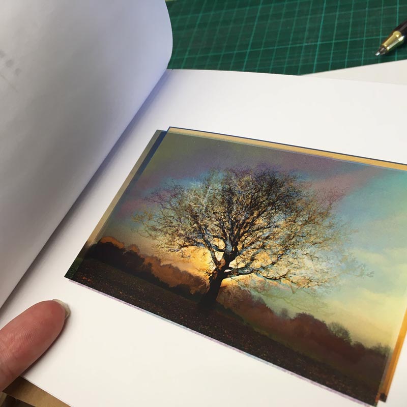 PATINA LANDSCAPES - Limited Edition Hand Bound Book - Image 4