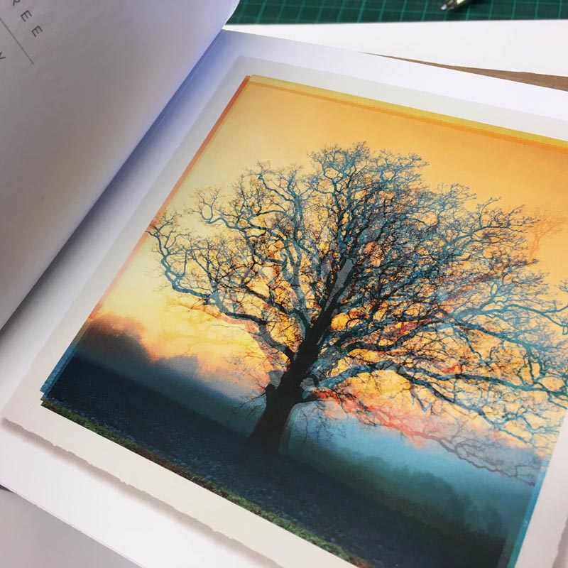 PATINA LANDSCAPES - Limited Edition Hand Bound Book - Image 3