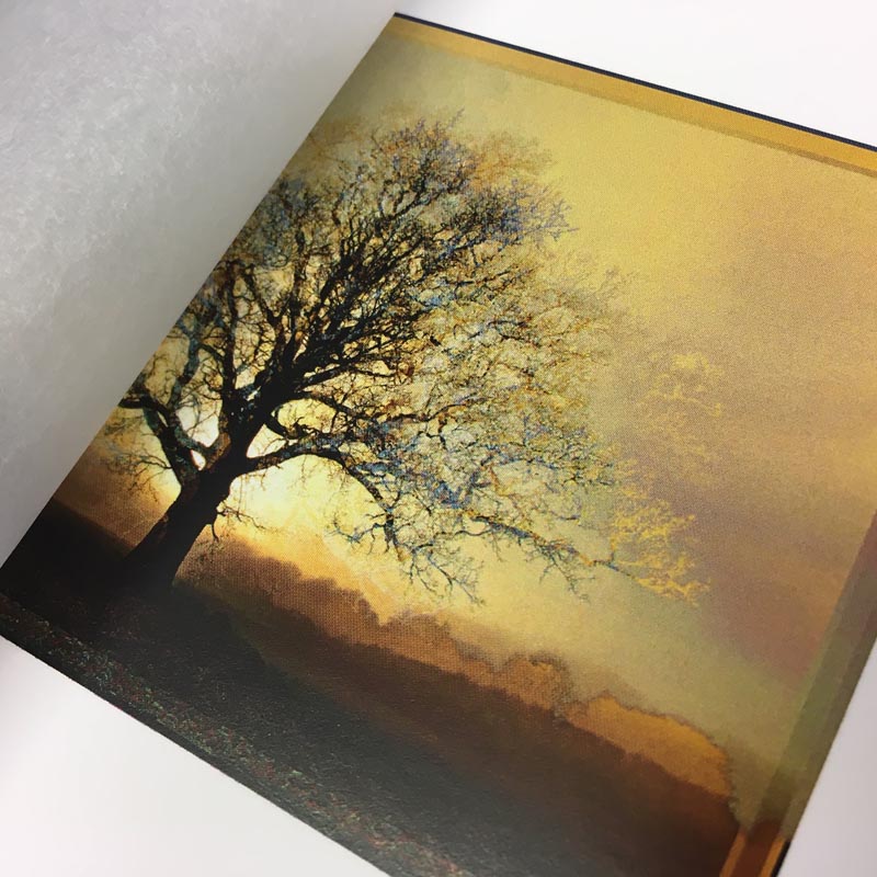 PATINA LANDSCAPES – Limited Edition Hand Bound Book