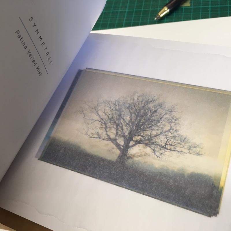 PATINA LANDSCAPES - Limited Edition Hand Bound Book - Image 5