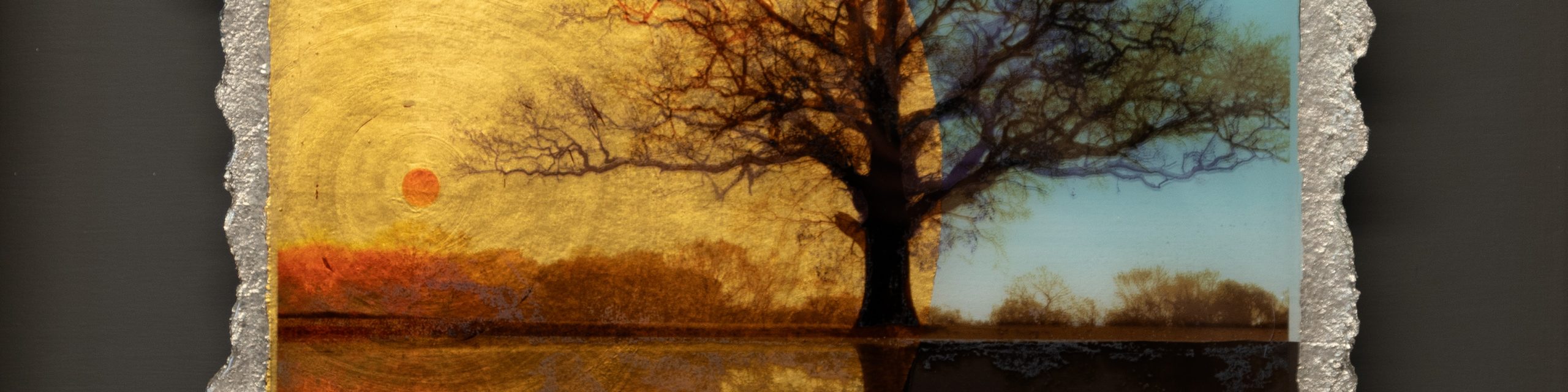 Reflective Practice XII - First Light 2M9A5528 CROPPED