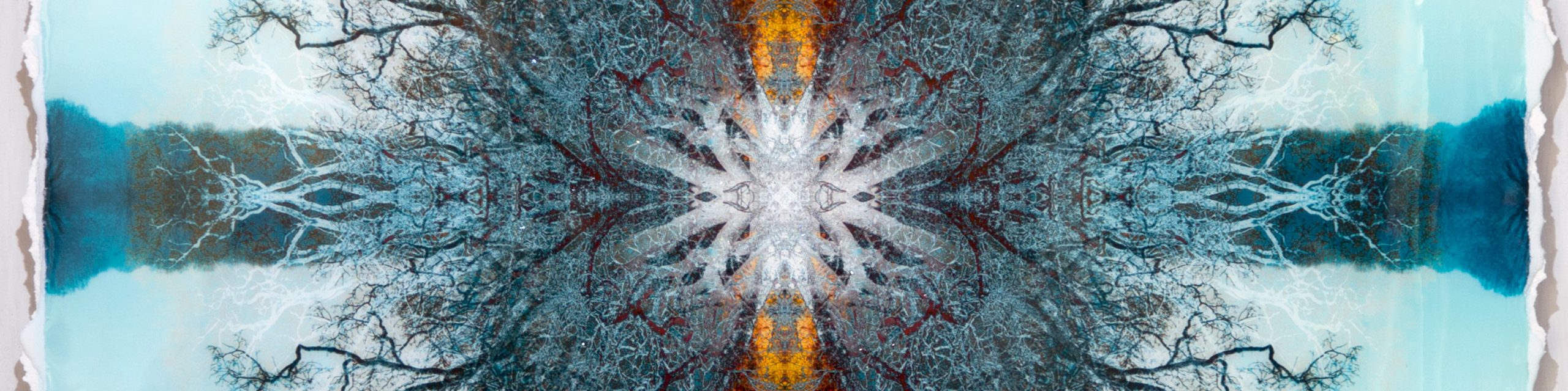 Symmetree Tripomatic Legend 1 IMG_0015 CROPPED