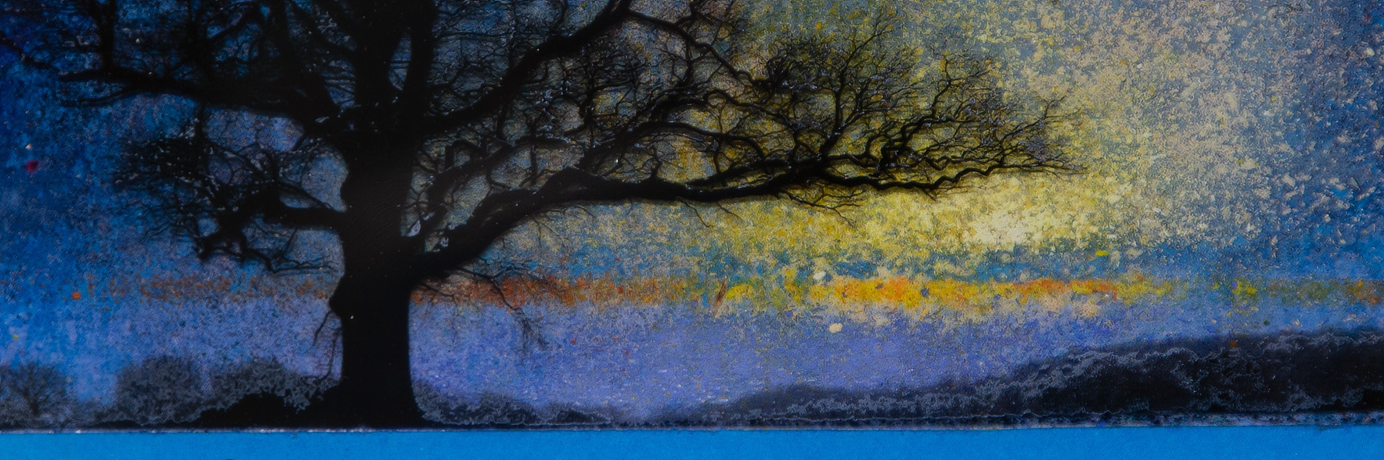 I CONTAIN MULTITUDES BANNER