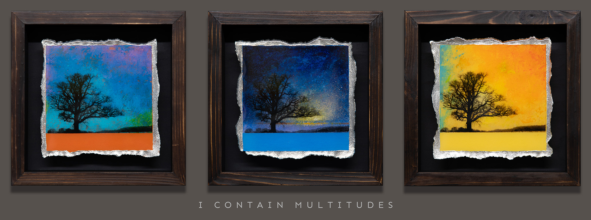 I CONTAIN MULTITUDES BANNER