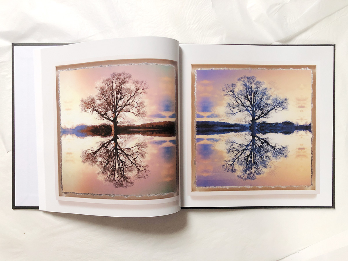 THE SYMMETREE OAK - BOOK - Image 4