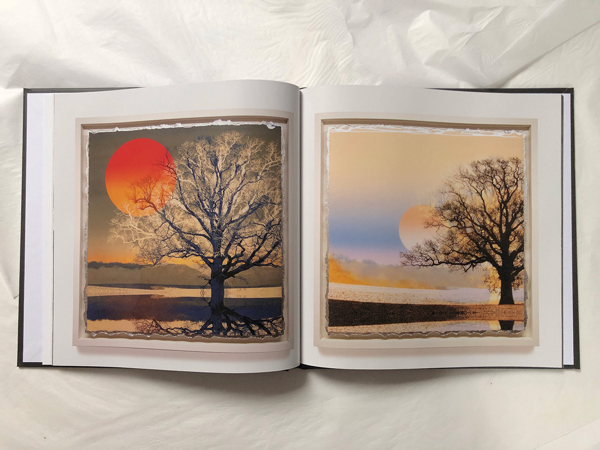 THE SYMMETREE OAK - BOOK - Image 3