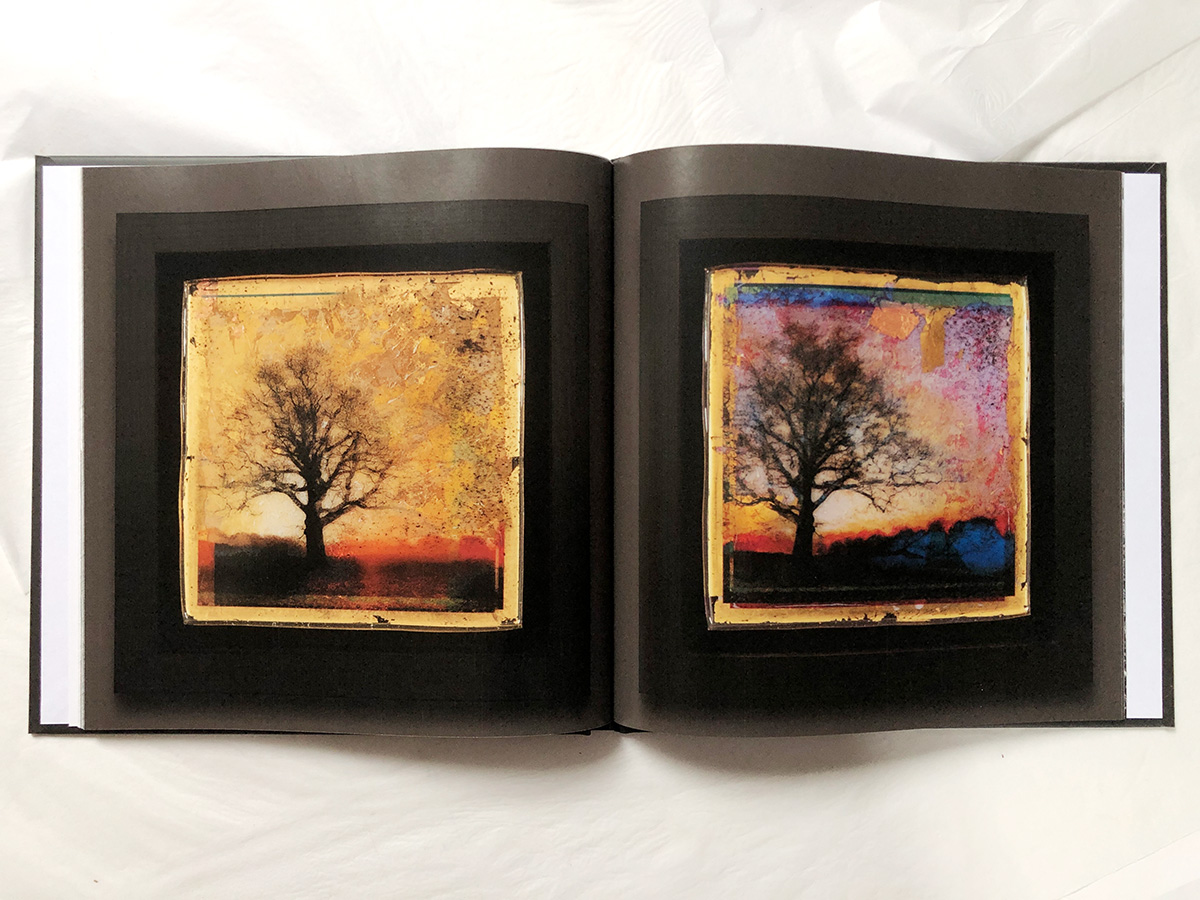 THE SYMMETREE OAK - BOOK - Image 6
