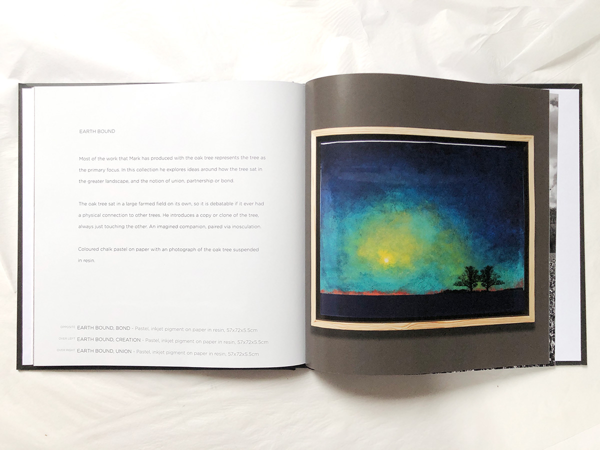 THE SYMMETREE OAK - BOOK - Image 5