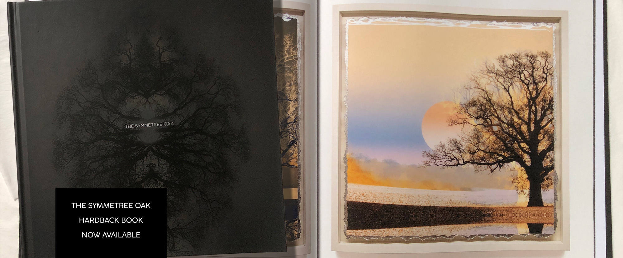 SYMMETREE OAK BOOK - HOME BANNER
